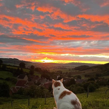 La Petite Maison Dans La Campagne Massingy-lès-Vitteaux 外观 照片
