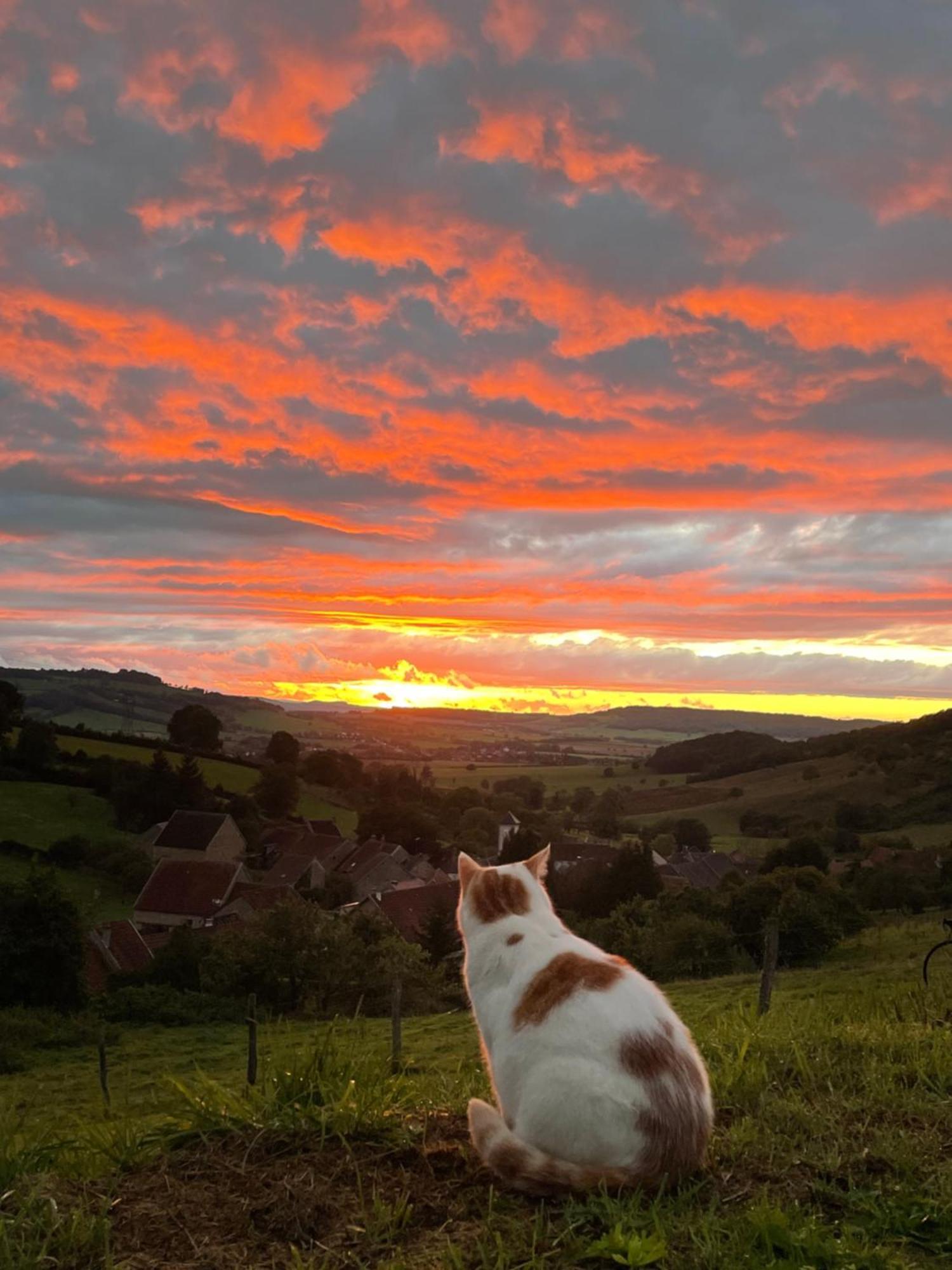 La Petite Maison Dans La Campagne Massingy-lès-Vitteaux 外观 照片