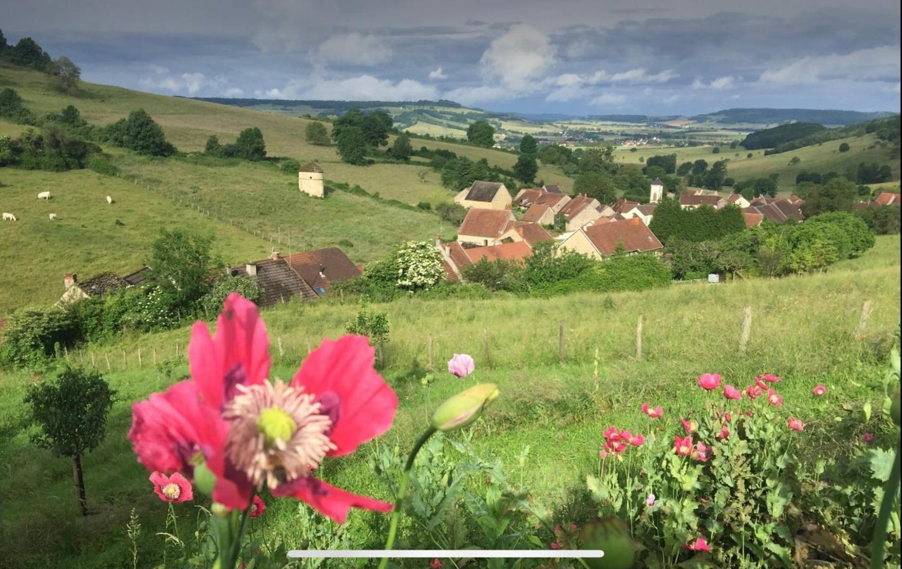 La Petite Maison Dans La Campagne Massingy-lès-Vitteaux 外观 照片